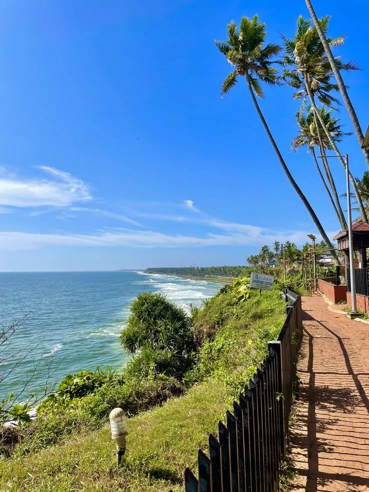The sea below the palm-lined cliff in Varkala