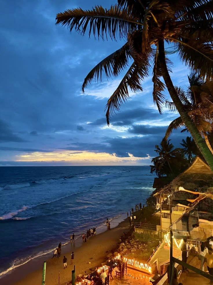 Palm-lined Varkala coast at dusk